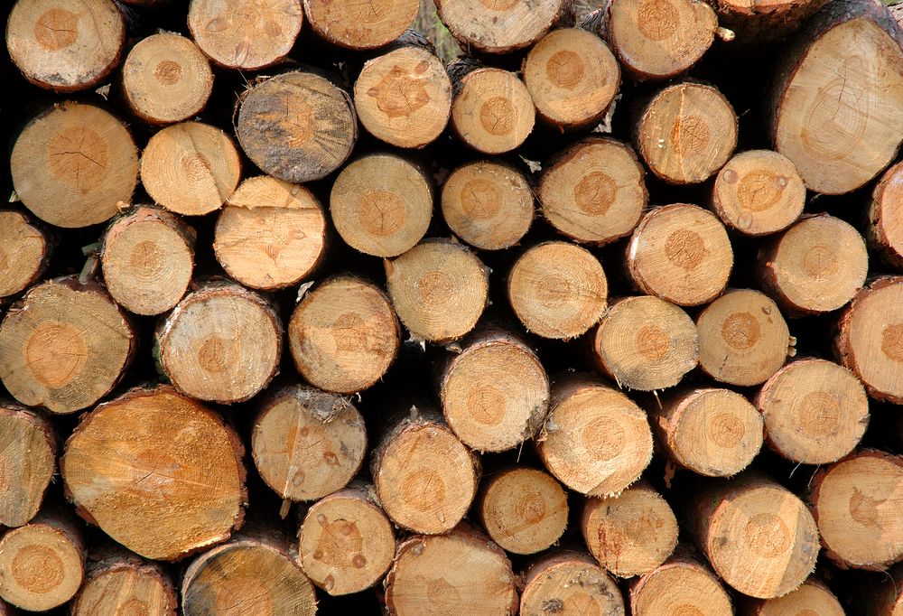 timber piles